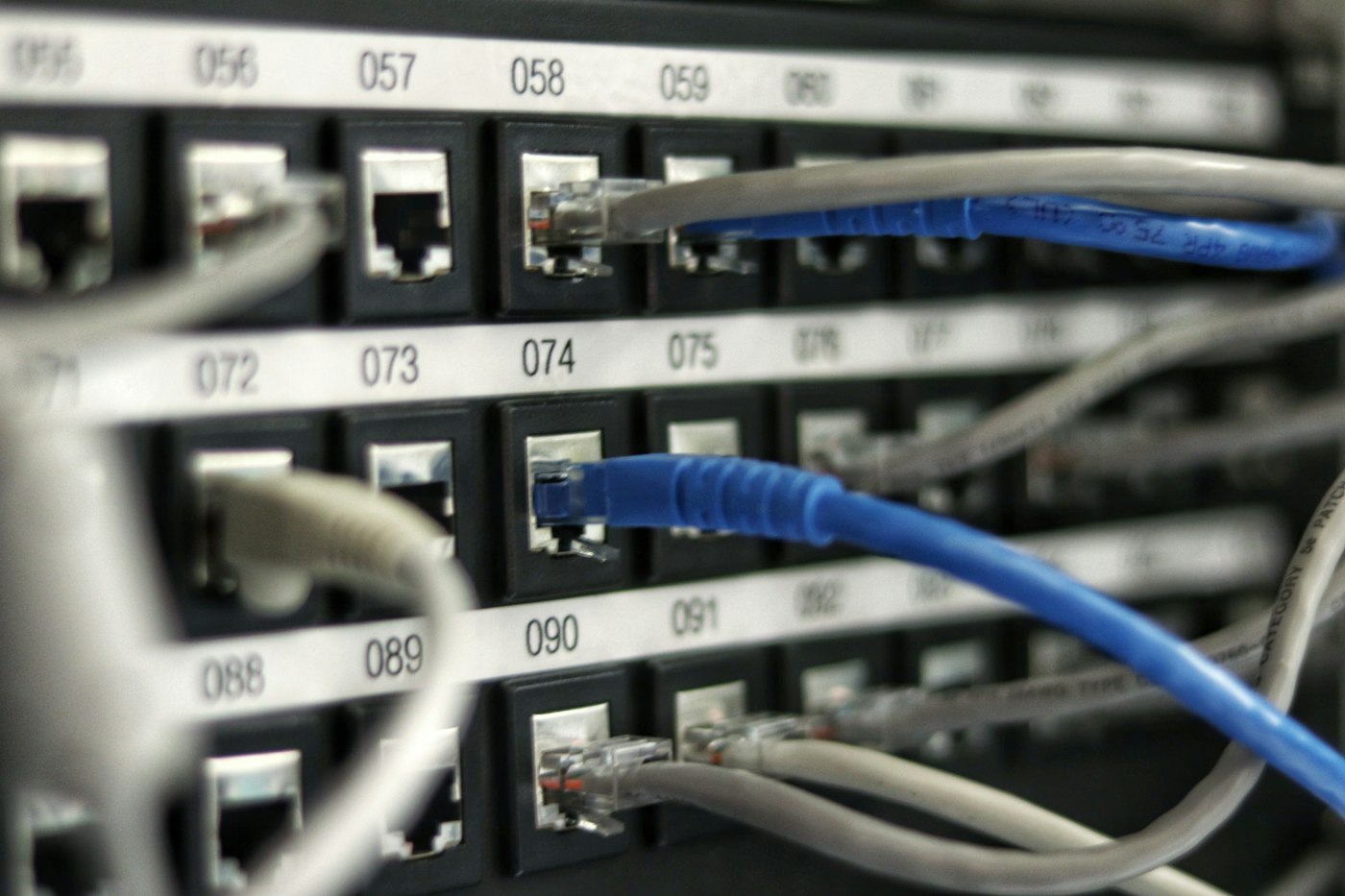 Ethernet cables plugged into a numbered network patch panel