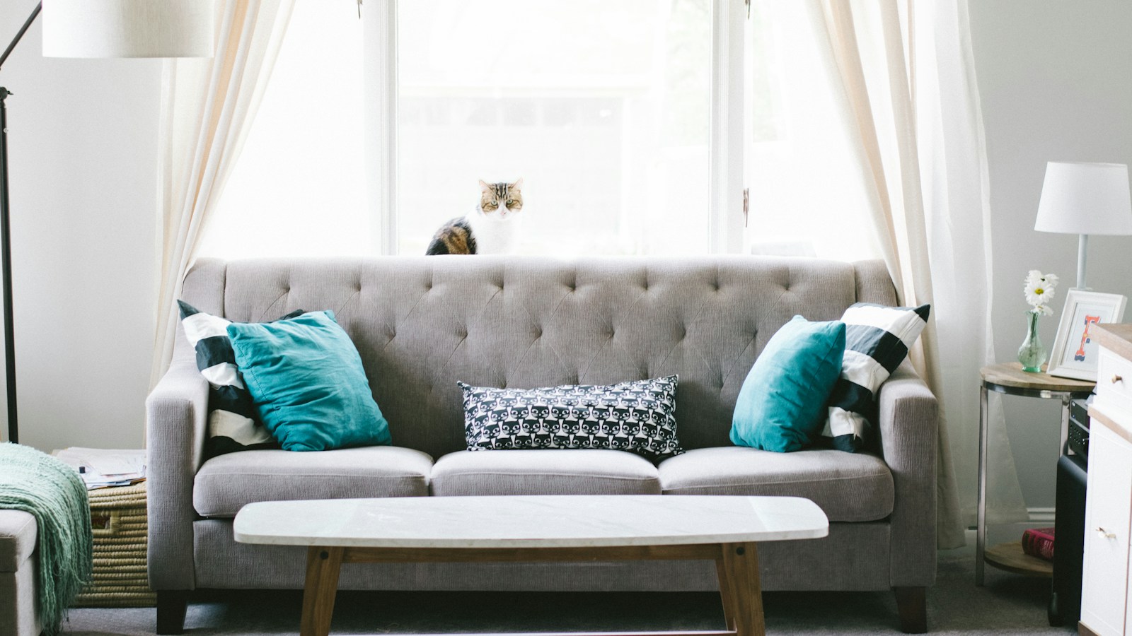Sunlit living room with grey sofa and teal cushions, an illustrative setting for indoor air quality monitoring.